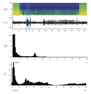 simultaneous changes of beta activity during movement in LFP and EEG