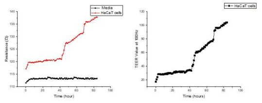 다공성막 상에서 HaCaT 세포 배양기간에 따라 1 kHz에서 모니터링한 저항 및 TEER