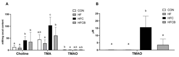 Effect of excessive choline intake on choline-derived metabolites in Sprague-Dawley rats. (A) Choline, trimethylamine (TMA), and trimethylamine-N-oxide (TMAO) in cecal content of the rats. (B) Serum TMAO level in the rats. Values represent means and standard deviations (n=10). *n=5. Different small letters indicate significant differences among the groups (p<0.05; one-way ANOVA and Duncan´s multiple range test)