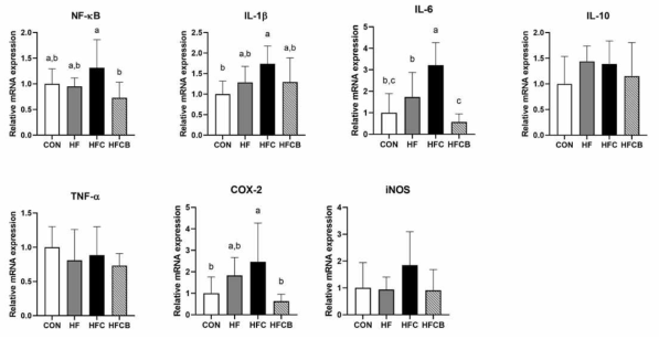 Relative mRNA level of genes involved in pro- and anti-inflammation in the liver of Sprague-Dawley rats. All the relative expressions of genes were normalized to glyceraldehyde-3-phosphate dehydrogenase expression. All data represent the means and standard deviations (n=7-8). Different small letters indicate significant differences among the groups (p<0.05; one-way ANOVA and Duncan’s multiple range test)