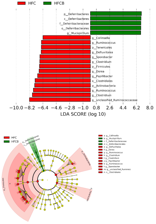 Comparison of bacterial relative abundance in feces between HFC and HFCB by LEfSe analysis. Only taxa meeting an LDA threshold of >2 are shown