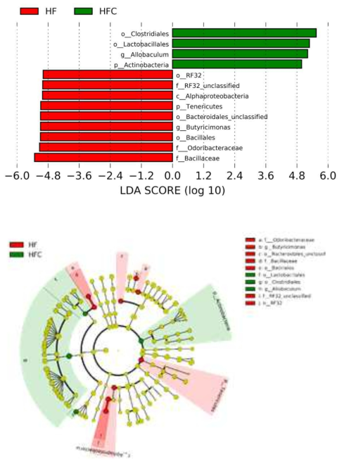 Comparison of bacterial relative abundance in cecal content between HF and HFC by LEfSe analysis. Only taxa meeting an LDA threshold of >2 are shown