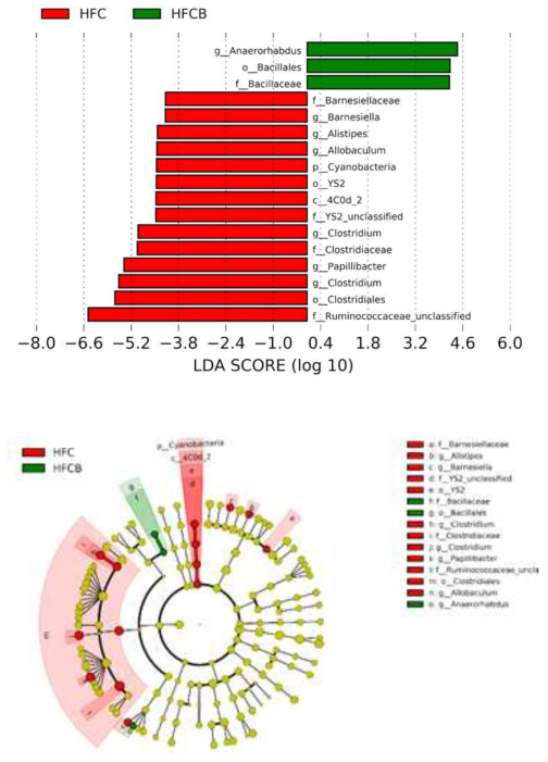 Comparison of bacterial relative abundance in cecal content between HFC and HFCB by LEfSe analysis. Only taxa meeting an LDA threshold of >2 are shown