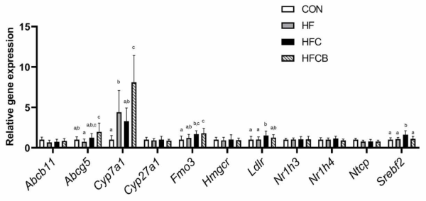 Hepatic mRNA expression of genes responsible for cholesterol and bile acid metabolism in the female SD rats. Relative gene expression was normalized to Gapdh. Bar represents mean ± standard deviation, Bars with different letters within the same genes are significantly different (p<0.05 by one-way ANOVA and Duncan´s multiple range test)