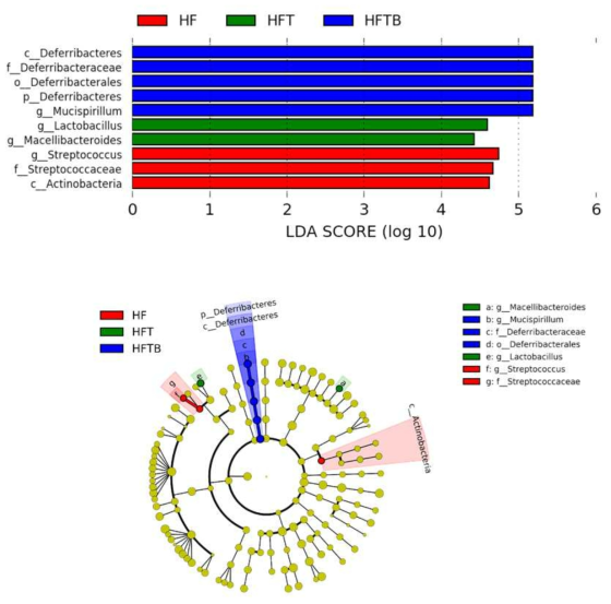 Comparison of bacterial relative abundance in feces between HFC and HFCB by LEfSe analysis. Only taxa meeting an LDA threshold of >2 are shown