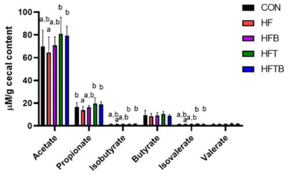 Short chain fatty acids in cecal content of the female SD rats. Bar represents mean ± standard deviation. Bars with different letters are significantly different (p<0.05 by one-way ANOVA and Duncan’s multiple range test)