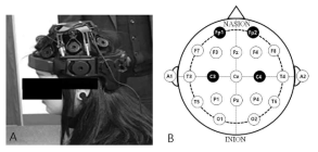 Electro-encephalography A; Dry Electrode EEG Head세트(DSI-24), B; EEG electrode location