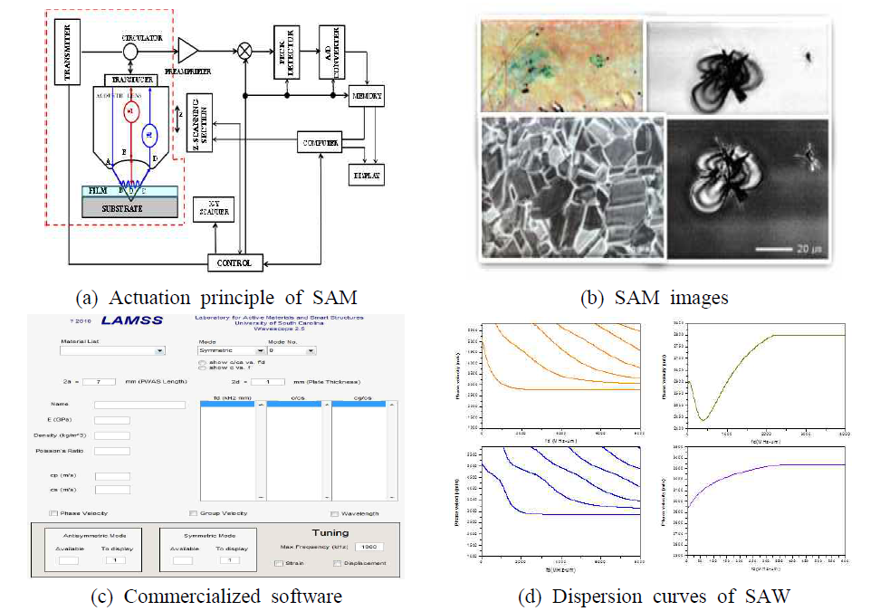 Development of image processing algorithm and software for SAW dispersity analysis