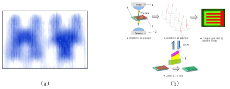 (a) 고속 THz 영상화 결과, (b) 고분해능 THz 영상화 결과