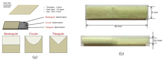(a) GFRP 시험편의 형상 및 크기 정보와 (b) 실제 모사된 박리 층 구조 및 형상