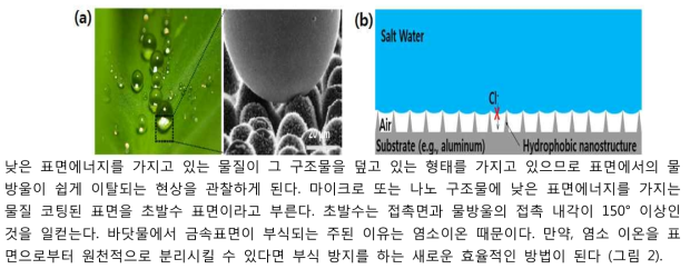 (a) 연꽃잎 위 물방울 맺임 현상, 물방울과 연꽃잎 표면 확대 관찰, 표면 거칠기 영향을 표현한다. 물방울과 표면사이의 접촉면적이 작아지기 때문에 그 사이 공기가 물방울과 연꽃잎 사이를 채우고 있다. 그러므로 물방울이 표면으로부터 이탈되게 된다.[2] (b) 초발수 표면을 이용한 부식방지의 기본 개념이다. 표면위에 마이크로 또는 나노 구조물은 초발수 표면을 극대화 시킨다. 그 이유는, 이러한 구조물이 물방울과의 접촉 면적을 최소화 시키므로 바닷물 속에 있는 염소이온을 표면으로부터 이탈시키므로 원천적으로 부식 방지 가능