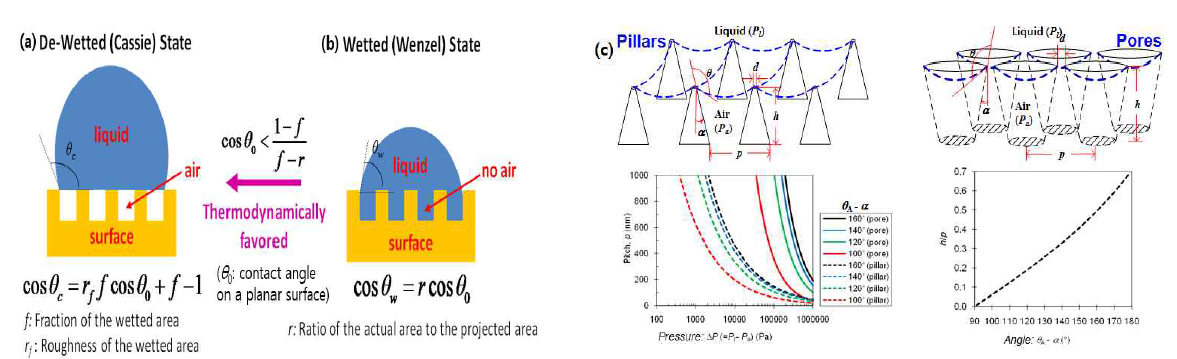 초발수 특성. (a) Cassie (De-wetted) 상태. (b) Wenzel (Wetted) 상태. (c) 구조물 형태에 따른 접촉각 변화와 De-wetting Stability