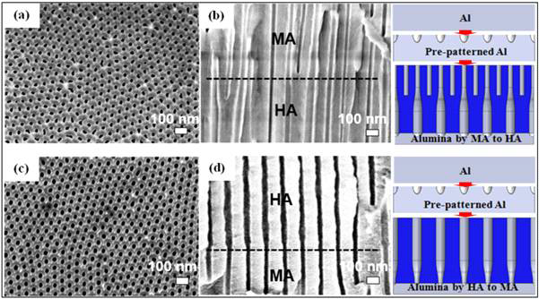 SEM images of top and cross-sectional morphologies of AAO film (formed by two-step anodization) and schematic diagram of multi-pore structure in single alumina capsule. (a) Mild anodizing to hard anodizing, (b) Hard anodizing to mild anodizing. (한국표면공학회 50, 6, 2017)