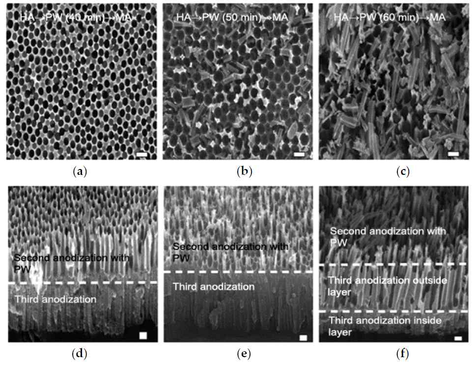 FE-SEM imgaes of AAO for the fabricating the HA-PW-MA step with an intermediate pore-widening duration of (a,d) 40 min, (b,e) 50 min, and (c,f) 60 min. a-c shows the top view, while d-f shows the cross-section. scale bar = 200 nm