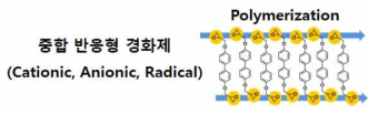 중합 반응형 경화제의 경화 메커니즘 모식도