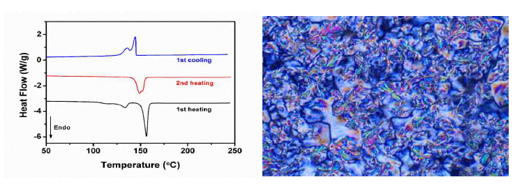 BP 에폭시의 DSC 커브(좌) 및 160 도에서의 편광현미경 이미지(우)