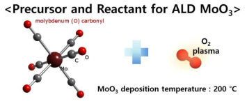 ALD MoO3 박막 성장을 위한 Mo(CO)6 전구체 및 O2 plasma 반응기 도식도