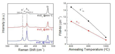 열처리 온도에 따른 MoS2 박막의 Raman 측정결과(왼쪽)와 그것의 반칙폭 비교(오른쪽)