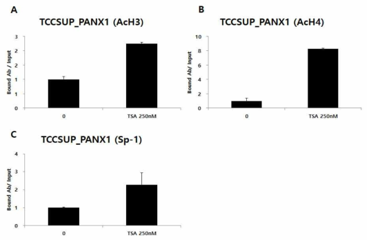 인체 방광암세포주 (TCCSUP)에서 HDAC 저해제 TSA 처리에 의한 PANX1유전자 프로모터 부위의 A. 아세틸화된 히스톤 H3 (AcH3), B. 아세틸화된 히스톤 H4 (AcH4), C. 전사 인자 Sp-1의 결합 증가를 나타내는 ChIP-qPCR 분석 결과