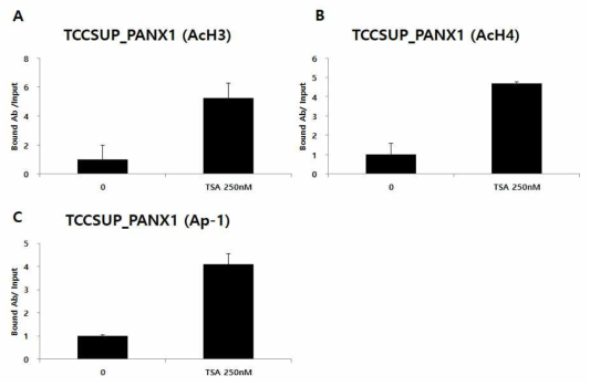 인체 방광암세포주 (TCCSUP)에서 HDAC 저해제 TSA 처리에 의한 PANX1유전자 프로모터 부위의 A. 아세틸화된 히스톤 H3 (AcH3), B. 아세틸화된 히스톤 H4 (AcH4), C. 전사 인자 AP-1의 결합 증가를 나타내는 ChIP-qPCR 분석 결과