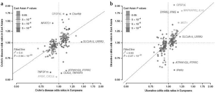 Comparison of risk variants in Europeans and Koreans