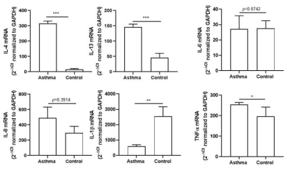 Comparison of the inflammatory cytokine gene expression in induced sputum between asthmatic patients (n=37) and healthy controls (n=19). Mann-Whitney U test; *p < 0.05, **p < 0.01, ***p < 0.001