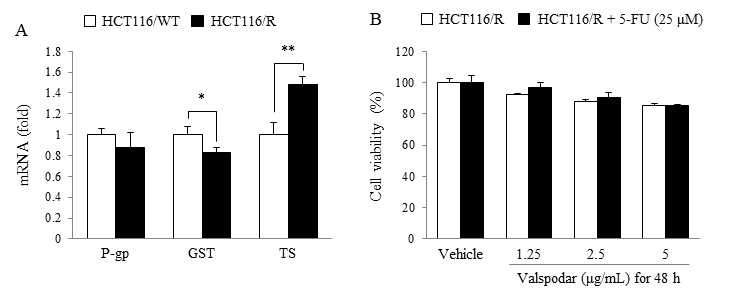 Analysis for underlying mechanism of anti-cancer drug resistance