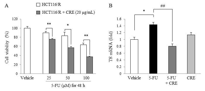 MDR inhibitory effects of CRE on HCT116/5-FU_R cell