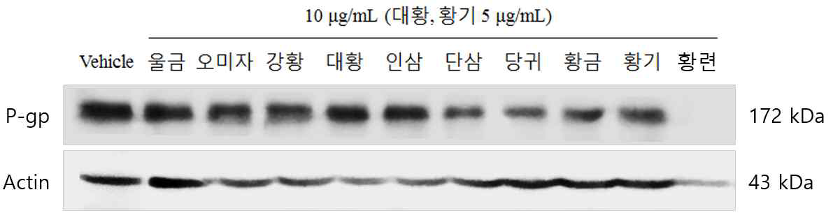 Evaluation of inhibitory effects of herbs against p-glycoprotein