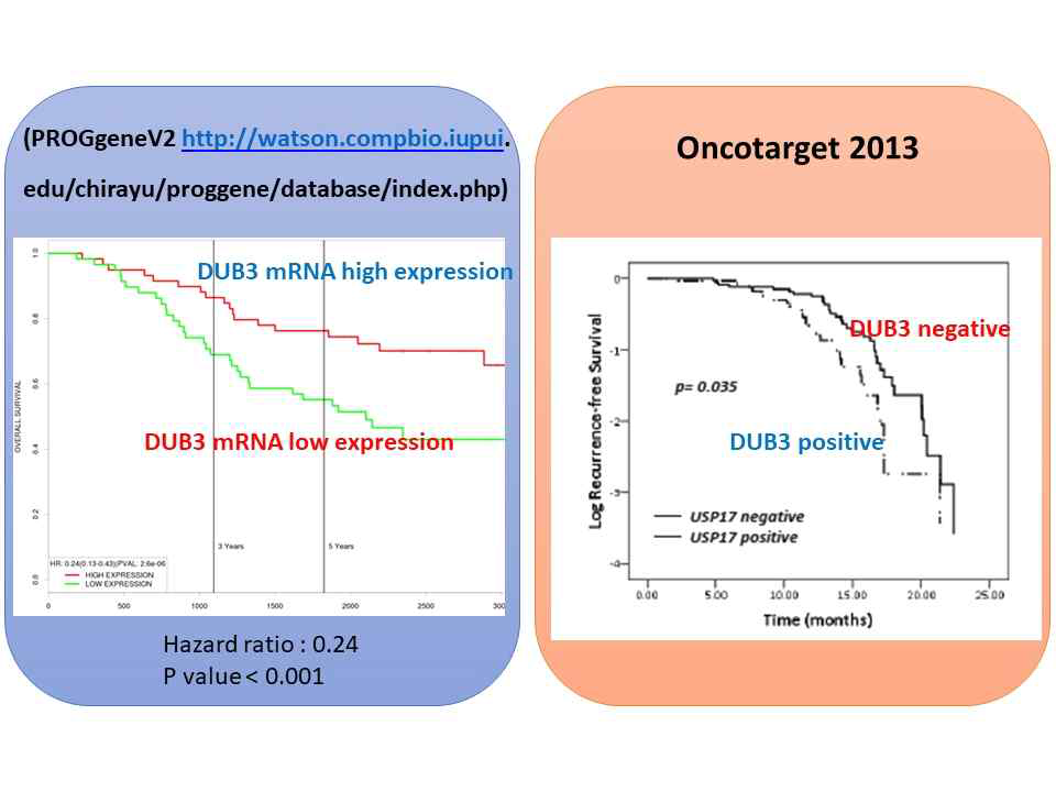 폐암에서 USP17L2 (DUB3)발현과 예후