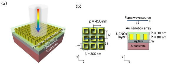 (a) 플라즈모닉 나노캐비트 어레이 플랫폼(plasmonic nanocavity array, pNCA) 개념도, (b) FDTD 광학 시뮬레이션 모델