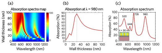 (a) pNCA 구조체의 두께에 따른 흡수도 스펙트럼 맵, (b) 980 nm 파장에서 두께에 따른 흡수도, (c) t = 30 nm 일 때 흡수도 스펙트럼