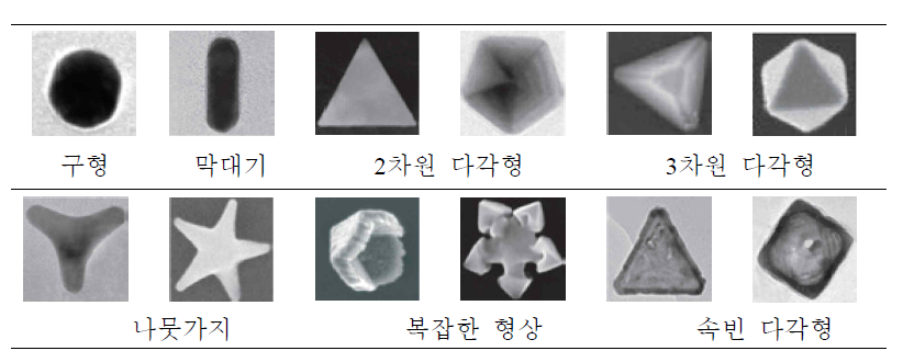 화학적 합성 방법을 이용하여 제조한 다양한 형상의 금속 나노구조