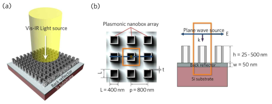 (a) 플라즈몬 나노박스 어레이 플랫폼의 개략도, (b) 광학 시뮬레이션 모델의 단위셀(주황색선), (c) 구조체에 적용된 평면파 광원