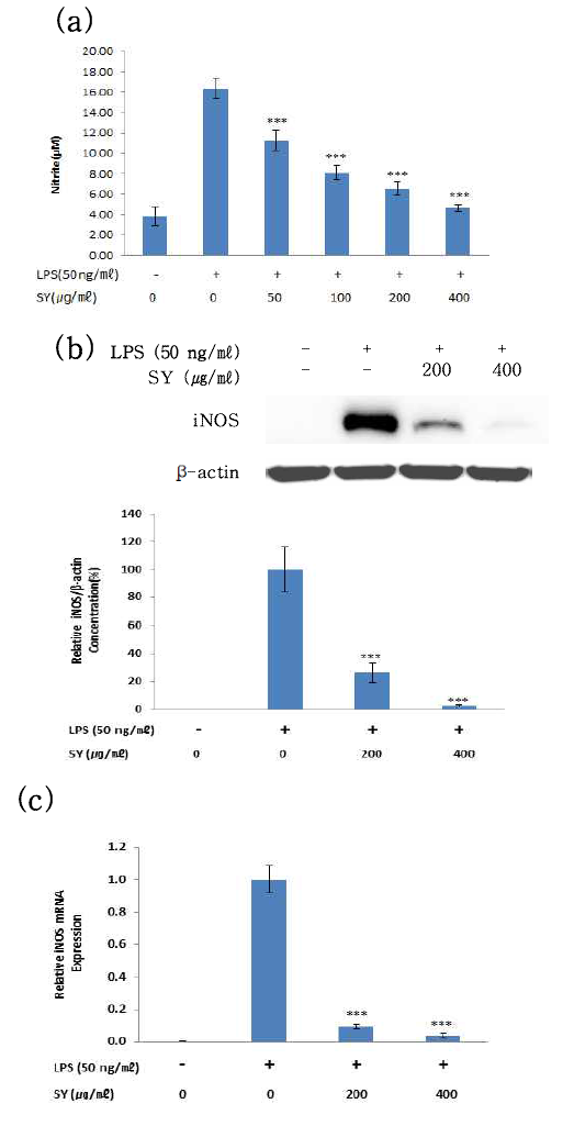 Effects of 散熱飮子(SY) on LPS-stimulated NO production and iNOS protein and mRNA expression in RAW 264.7 cells