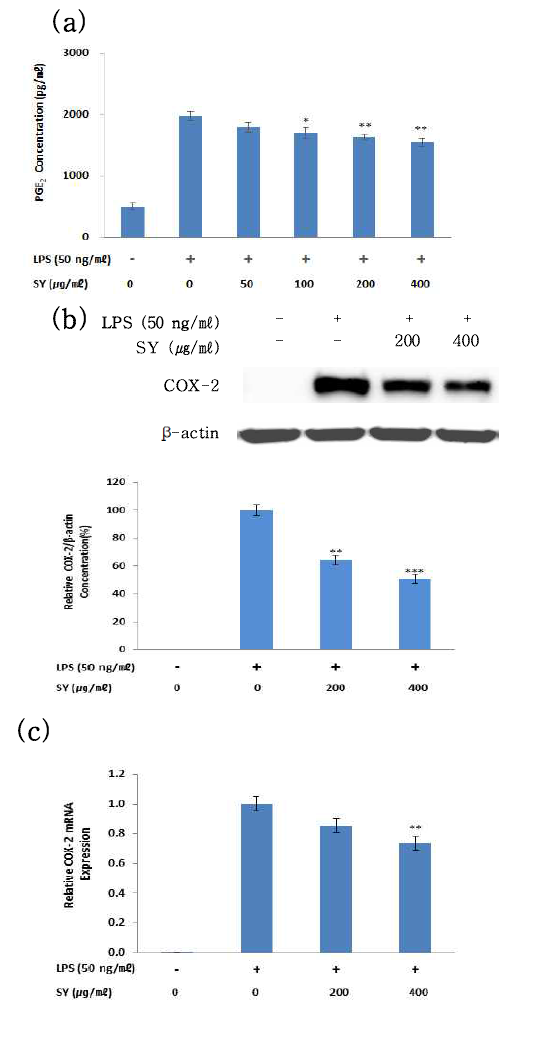 Effects of 散熱飮子(SY) on LPS-stimulated PGE2 production and COX-2 protein and mRNA expression in RAW 264.7 cells