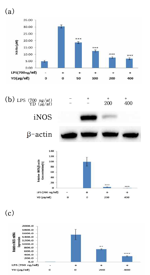 Effects of 적양단탕(YD) on LPS-stimulated NO production and iNOS protein and mRNA expression in RAW 264.7 cells