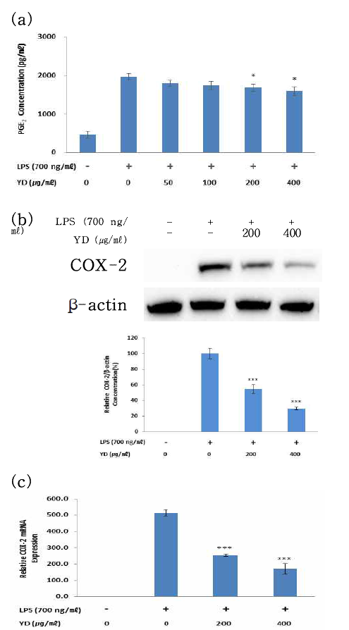 Effects of 적양단탕(YD) on LPS-stimulated PGE2 production and COX-2 protein and mRNA expression in RAW 264.7 cells