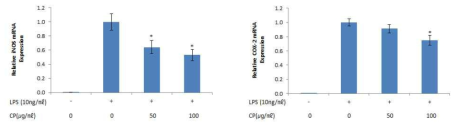 Degree of relative iNOS, COX-2 mRNA expression by 淸肺瀉肝湯(CP) in the LPS stimulated RAW 264.7 cells