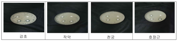 Agar plate of inhibition zone