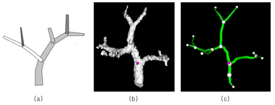 Portal vein 을 3차원 적응적 가변형 두께 실린더로 모델링한 사용자 인터페이스 (a) 3차원 적응적 가변형 두께 실린더 두께 실린더 모델링 개요도 (b) Portal vein의 main branch (c) 3차원 적응적 가변형 두께 실린더 두께 실린더로 모델링된 사용자 인터페이스