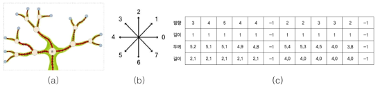 혈관 구조 encoding (a) normalize 된 혈관 구조 예 (b) 방향 인덱스 표 (c) encoding 결과 예