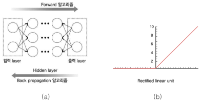 학습 과정 (a) back propagation 알고리즘 개념도 (b) rectified linear unit (ReLu) 활성화 함수