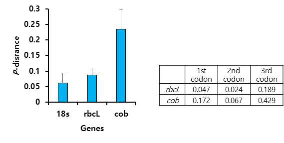 3가지 유전자의 유전체 전체와 각 codon position 별 P-distance