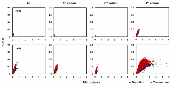 rbcL과 cob 유전자의 saturation test 결과. 각 유전자의 변이율을 유전체 전체와 codon position 별로 비교분석하였음