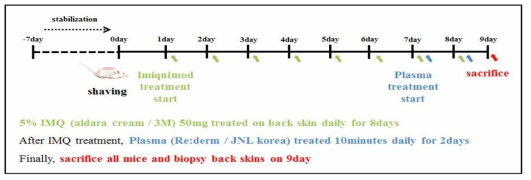 동물 실험 연구 디자인