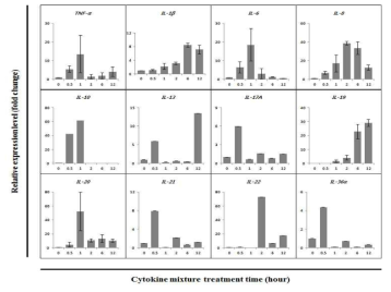 HaCaT 세포에서의 TNF-α, IL-1α, IL-6, IL-17A, IL-22를 50 ng/ml로 일정시간동안 처리한 후 염증성 사이토카인의 발현을 확인한 결과