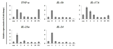 qRT-PCR을 통한 염증성 사이토카인 mRNA의 상대적 발현량 비교 확인. con:no treat, 0~10:cytokine mixture+CAP treatment(min), PC:positive control(NAC)