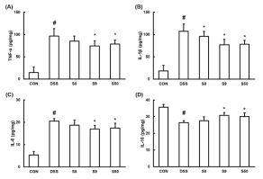 DSS로 유도한 대장염 모델에서의 장 조직 내 염증성 싸이토카인의 함량