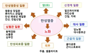 만성 염증이 유발하는 만성질환 (출처: Prev Med. 2012;54(Suppl): S29-S37)